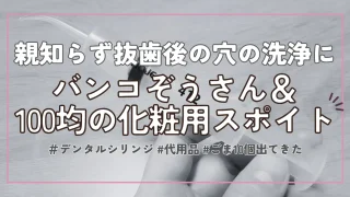 【親知らずの穴洗浄】デンタルシリンジ(バンコぞうさん)＆100均化粧用スポイトが便利