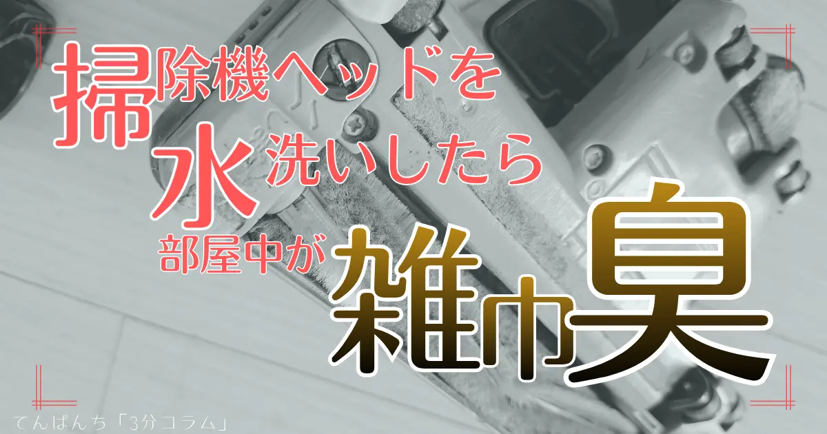 【失敗談】掃除機ヘッドを水洗いしたら雑巾臭くなった！原因と対処法